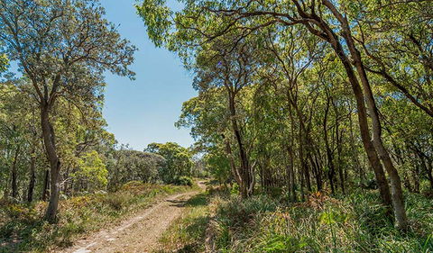 Tyagarah Nature Reserve - Redcliffe Tourism 2