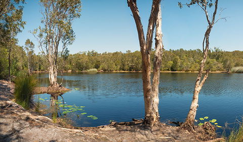 Tyagarah Nature Reserve - Redcliffe Tourism 3