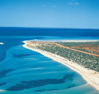 Monkey Mia - Redcliffe Tourism