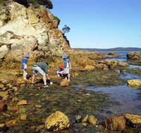 Sapphire Coast Marine Discovery Centre - Redcliffe Tourism