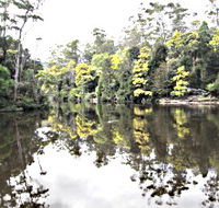 Arthur River - Redcliffe Tourism