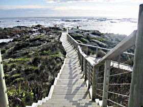 Arthur River - Redcliffe Tourism 1