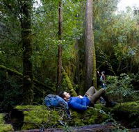 The Tarkine Drive - Redcliffe Tourism