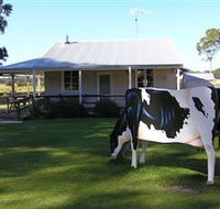 Millers Ice Cream - Redcliffe Tourism