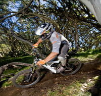 All Terrain Cycles - Redcliffe Tourism