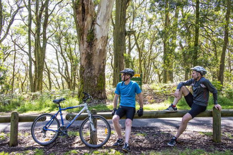 Fit Tours - Redcliffe Tourism 8
