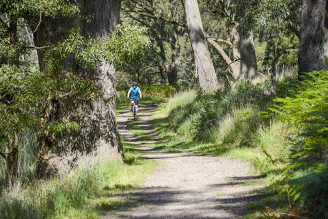 Fit Tours - Redcliffe Tourism 16