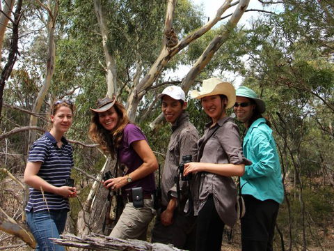 Echidna Walkabout Nature Tours - Redcliffe Tourism 1
