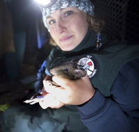 Naturewise at Tidbinbilla - Redcliffe Tourism