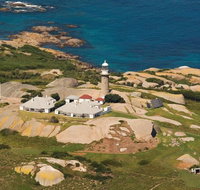 Naturewise Montague Island Nature Escape - Redcliffe Tourism