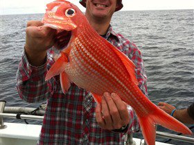 Goin' Off Safaris - Redcliffe Tourism 1
