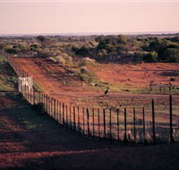 Tri State Safaris - Redcliffe Tourism