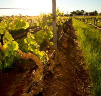 Kaesler Old Vine Vineyard Tour - Redcliffe Tourism