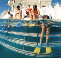 Australian Sunset Safaris - Redcliffe Tourism