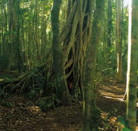 Tullawallal circuit - Redcliffe Tourism