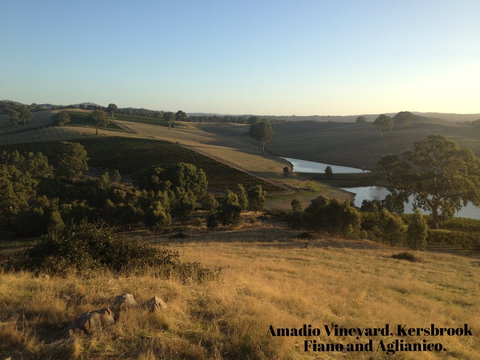 Scott & La Prova - Redcliffe Tourism 1