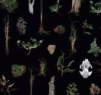 Weswal Gallery - Redcliffe Tourism