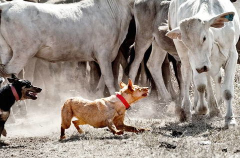 David Hancock Photography - Redcliffe Tourism 2