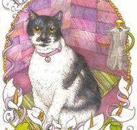 Art Hive Artist - Redcliffe Tourism