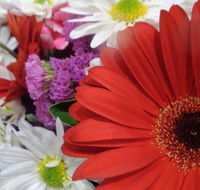 Marysworldart Bali Imports - Redcliffe Tourism