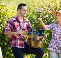 Two Tails Wines - Redcliffe Tourism