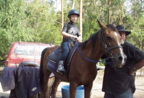 AAA Horse Riding & More - Redcliffe Tourism 1