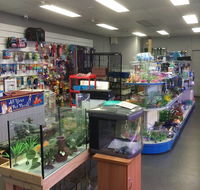 Nambour Pet Shop - Redcliffe Tourism