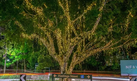 The Sunshine Coast Tour Company - Redcliffe Tourism 3