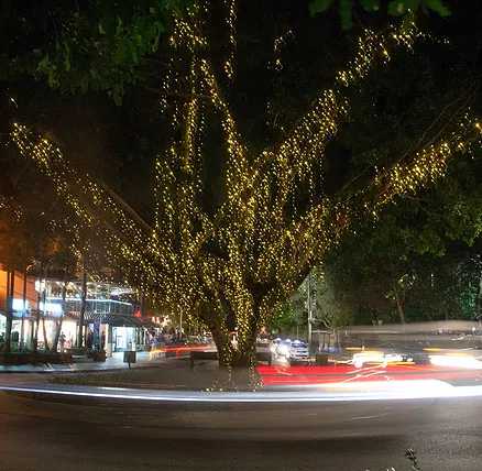 The Sunshine Coast Tour Company - Redcliffe Tourism 2