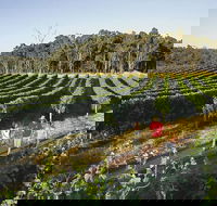 Margaret River Caves Wine and Cape Leeuwin Lighthouse Tour from Perth - Redcliffe Tourism