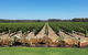 Margaret River Food, Wine & Sightseeing Tour From Perth - thumb 5