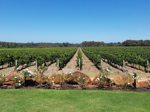 Margaret River Food, Wine & Sightseeing Tour From Perth - Redcliffe Tourism 5
