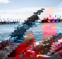 Rottnest Island Tour from Perth or Fremantle including Adventure Speed Boat Ride - Redcliffe Tourism