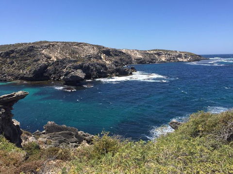 Rottnest Island Tour From Perth Or Fremantle Including Bus Tour - Redcliffe Tourism 3