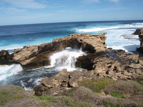 Rottnest Island Tour From Perth Or Fremantle Including Bus Tour - Redcliffe Tourism 5