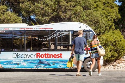 Rottnest Island Tour From Perth Or Fremantle Including Bus Tour - Redcliffe Tourism 9