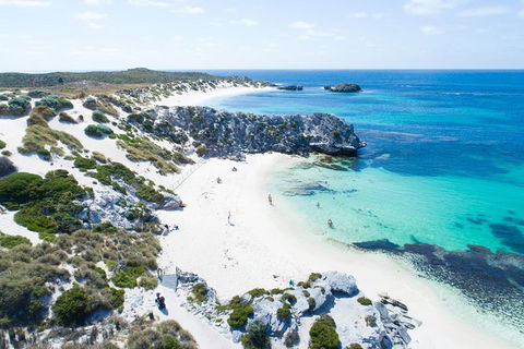 Rottnest Island Tour From Perth Or Fremantle Including Bus Tour - Redcliffe Tourism 7