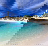 Rottnest Island Grand Tour Including Lunch and Historical Train Ride - Redcliffe Tourism