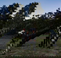 Stargazing Busselton with Mobile Observatory - Redcliffe Tourism