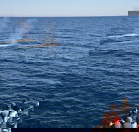 Blue Whale Perth Canyon Expedition - Redcliffe Tourism