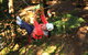 Trees Adventure Lane Poole Park - Treetop & Zipline Experience - thumb 0