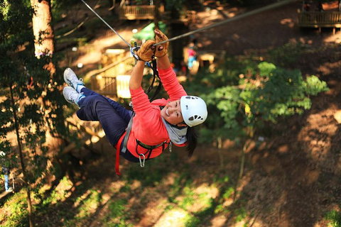 Trees Adventure Lane Poole Park - Treetop & Zipline Experience - Redcliffe Tourism 0