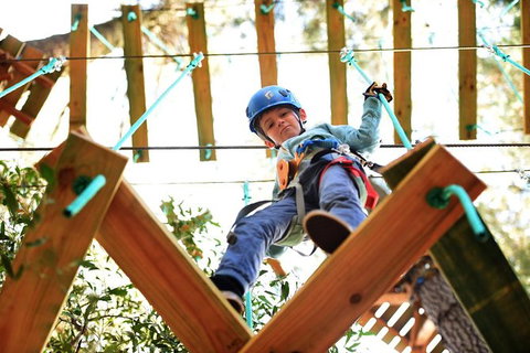 Trees Adventure Lane Poole Park - Treetop & Zipline Experience - Redcliffe Tourism 1