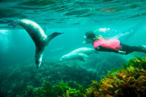 9-Day Perth To Adelaide Adventure Tour - Redcliffe Tourism 7
