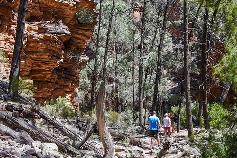 9-Day Perth To Adelaide Adventure Tour - Redcliffe Tourism 15