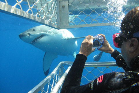 9-Day Perth To Adelaide Adventure Tour - Redcliffe Tourism 5