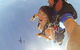 Skydive Perth From 15000ft With Beach Landing - thumb 7