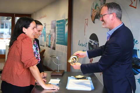 Live Pearl Harvest Experience - Perth - Redcliffe Tourism 2