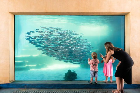 AQWA The Aquarium Of Western Australia: General Admission - Redcliffe Tourism 0