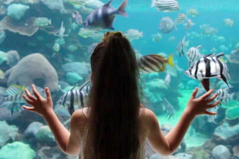AQWA The Aquarium Of Western Australia: General Admission - Redcliffe Tourism 1